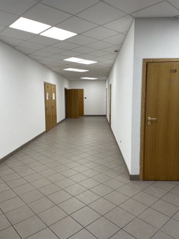 Lokal Wynajem Szczecin Śródmieście-Centrum 1