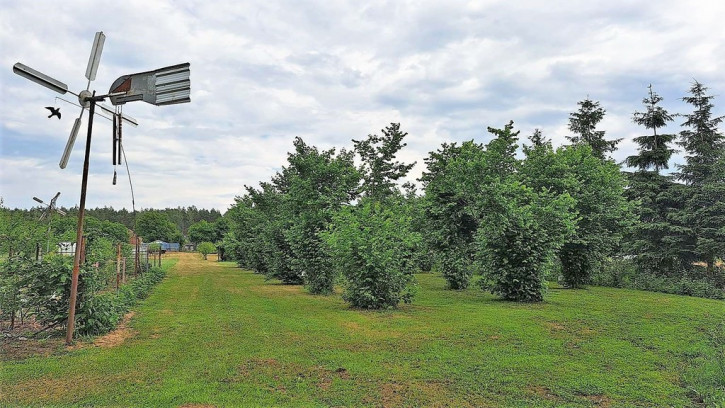 Działka Sprzedaż Podlesie 34