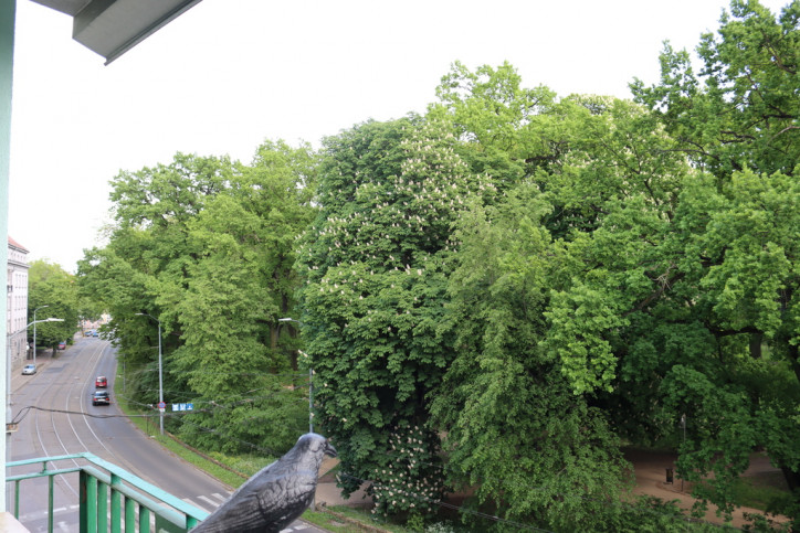 Mieszkanie Sprzedaż Szczecin Centrum 14