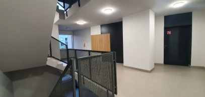 Mieszkanie Wynajem Szczecin Gumieńce Ignacego Mościckiego