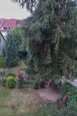 Dom Sprzedaż Szczecin Pogodno 15