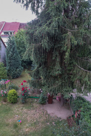 Dom Sprzedaż Szczecin Pogodno