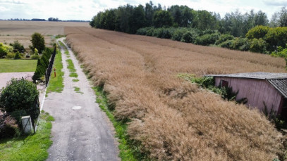 Działka Sprzedaż Warnice