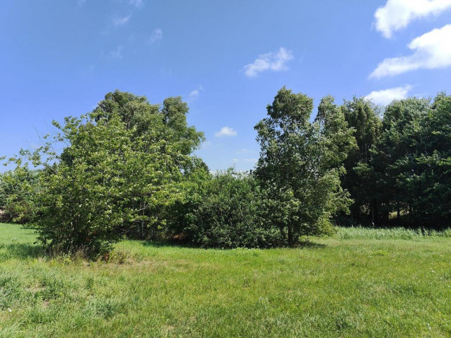 Działka Sprzedaż Przybiernów 4