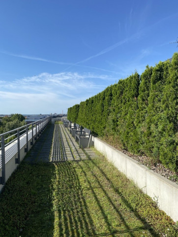Mieszkanie Sprzedaż Szczecin Centrum 15