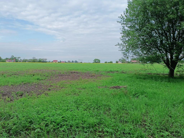 Działka Sprzedaż Giżyn 10