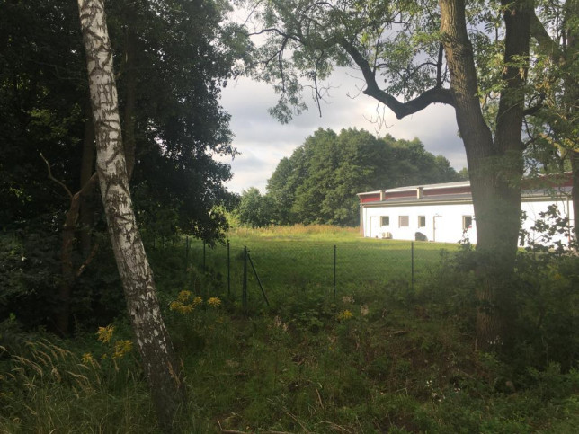 Działka Sprzedaż Goleniów 6