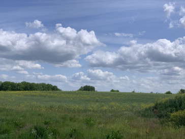 Działka Sprzedaż Stobno