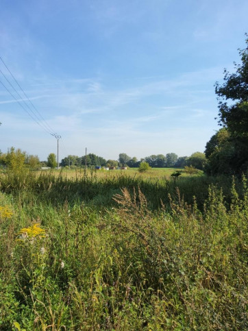 Działka Sprzedaż Buk 4