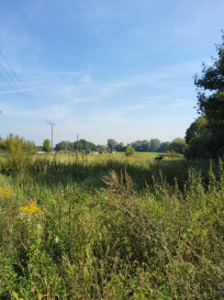 Działka Sprzedaż Buk