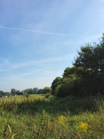 Działka Sprzedaż Buk