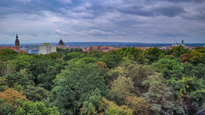 Mieszkanie Sprzedaż Szczecin Centrum Jana Matejki