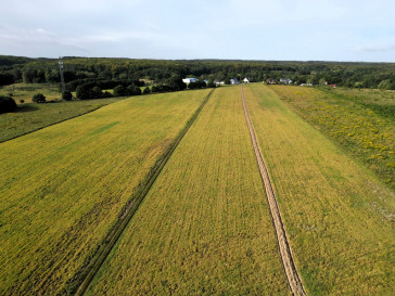 Działka Sprzedaż Szczecin Śmierdnica