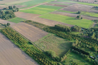 Działka Sprzedaż Imno