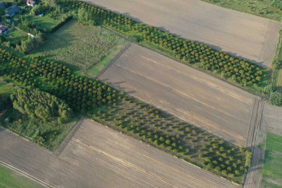 Działka Sprzedaż Imno