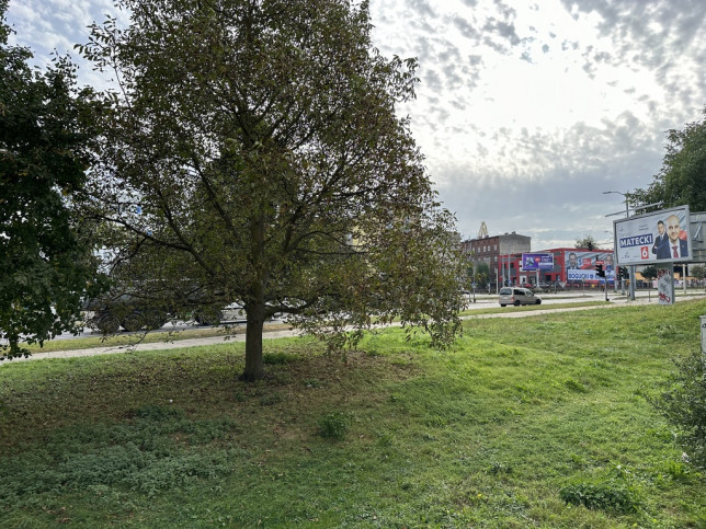 Mieszkanie Sprzedaż Szczecin Śródmieście Emilii Plater 17