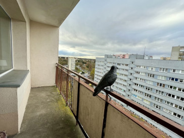 Mieszkanie Sprzedaż Szczecin Pogodno