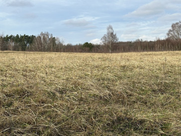 Działka Sprzedaż Storkowo