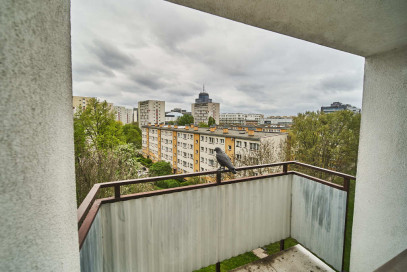 Mieszkanie Wynajem Szczecin Śródmieście-Centrum Bazarowa