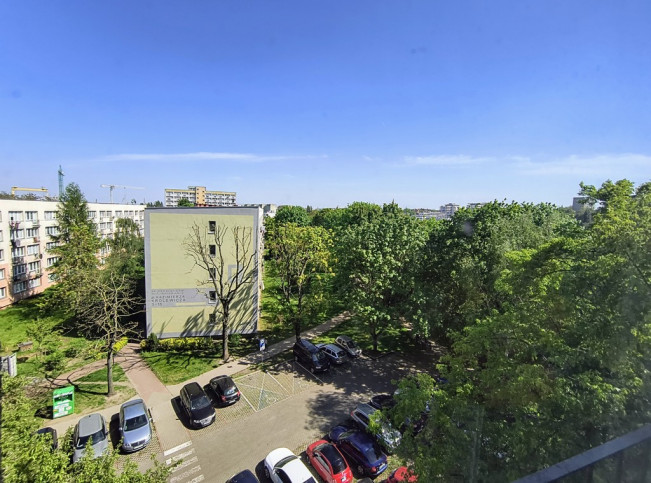 Mieszkanie Wynajem Szczecin Śródmieście Ofiar Oświęcimia 13