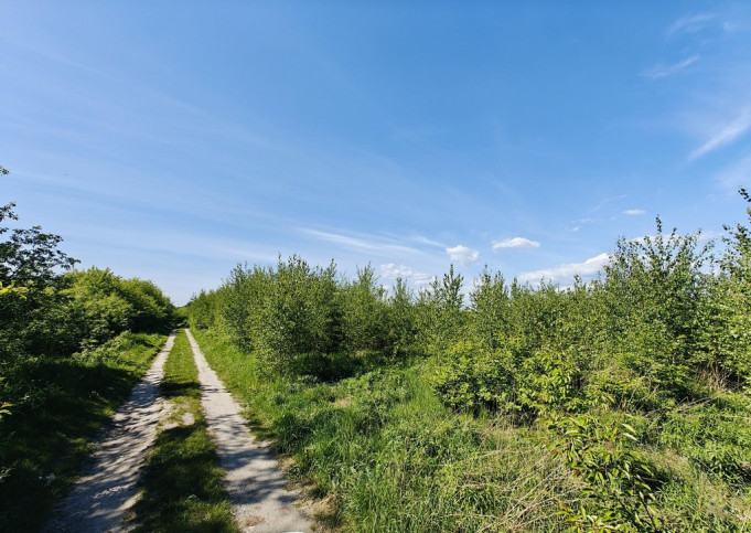 Działka Sprzedaż Goleniów 4