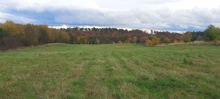 Działka Sprzedaż Steklno 2