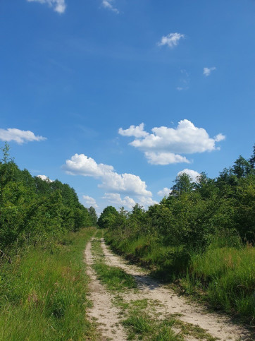 Działka Sprzedaż Zieleniewo 4