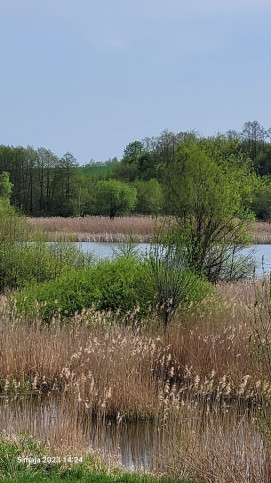 Działka Sprzedaż Zieleniewo 3