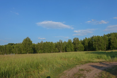 Działka Sprzedaż Grzepnica