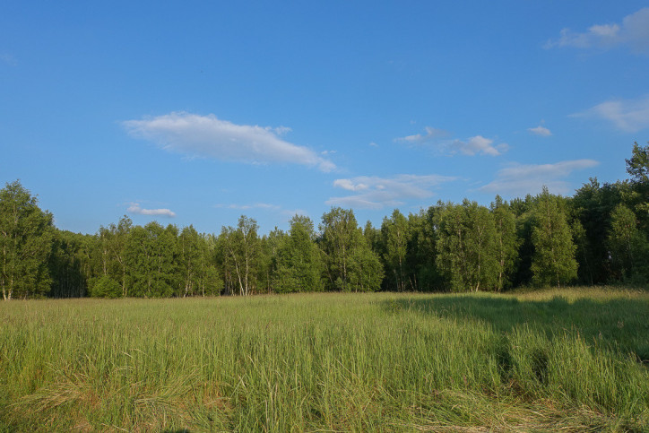 Działka Sprzedaż Grzepnica 3