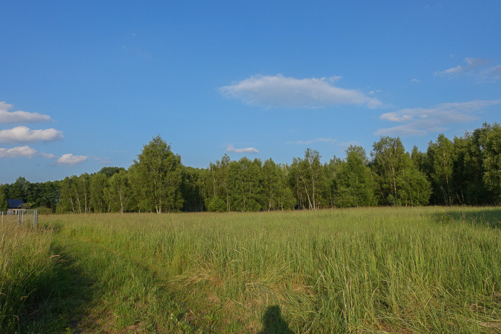 Działka Sprzedaż Grzepnica 2