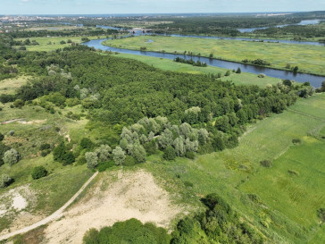 Działka Sprzedaż Kurów