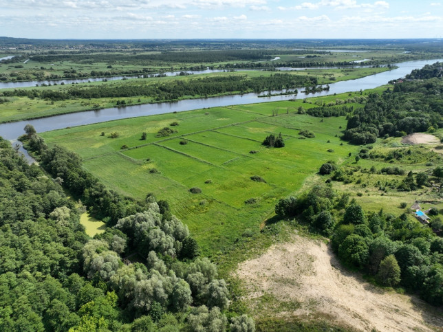 Działka Sprzedaż Kurów 5