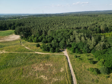 Działka Sprzedaż Daleszewo