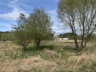 Działka Sprzedaż Dołuje