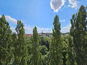 Mieszkanie Wynajem Szczecin os. Gontyny 1 Maja